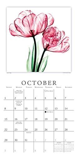 2017 Flowers Mini Calendar