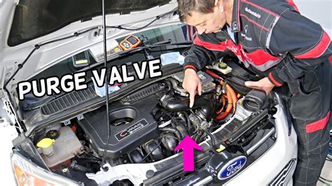 The purge valve can cause idle fluctuations. You can disconnect the electrical connector and the line that goes back to the fuel tank. Cover the port with your finger where the line was connected with the engine idling. There should be no vacuum coming through the valve. If you feel vacuum, the valve is stuck open.. 