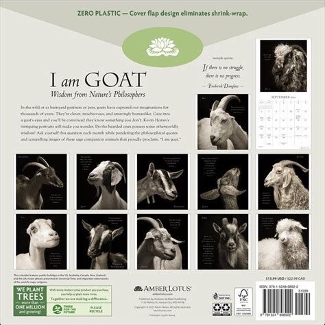 2017 Trees Wall Calendar