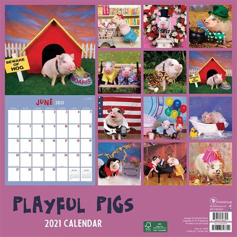 Read Online 2017 Playful Pigs Wall Calendar 