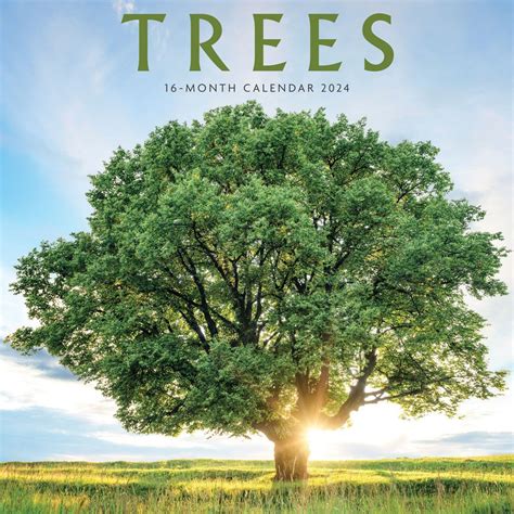 Full Download 2017 Trees Wall Calendar 