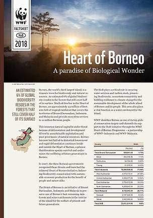 2018 Heart of Borneo - Panda - raincitystudios.com