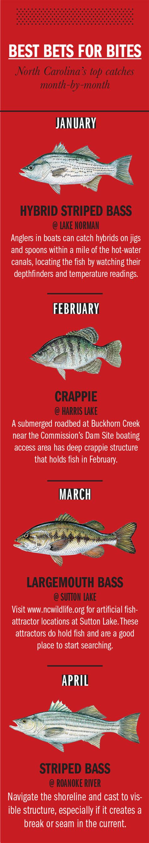 2018 North Carolina Fishing Calendar Game & Fish