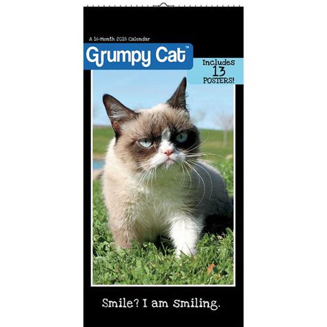 2018 Grumpy Cat Mini Calendar ( Day Dream)