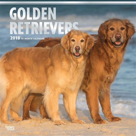 Read Online 2018 Golden Retrievers Wall Calendar Mead 