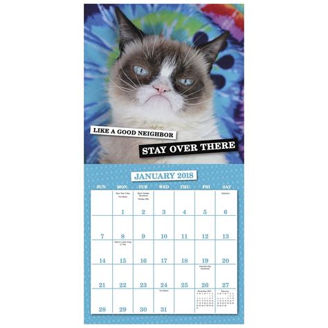 Full Download 2018 Grumpy Cat Mini Calendar Day Dream 