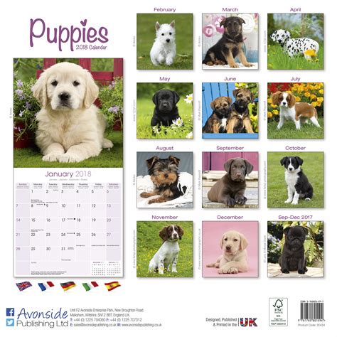 Full Download 2018 Puppies Wall Calendar Mead 