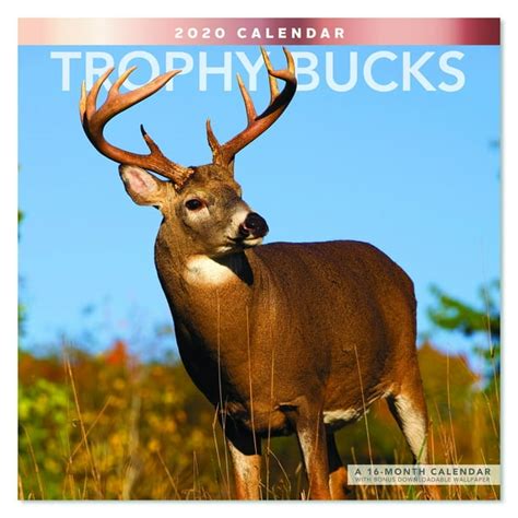 Download 2018 Trophy Bucks Wall Calendar Mead 