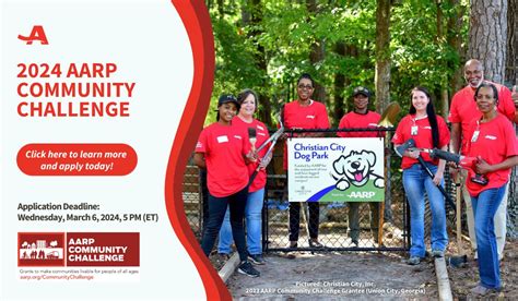 2019 AARP Community Challenge The Rules