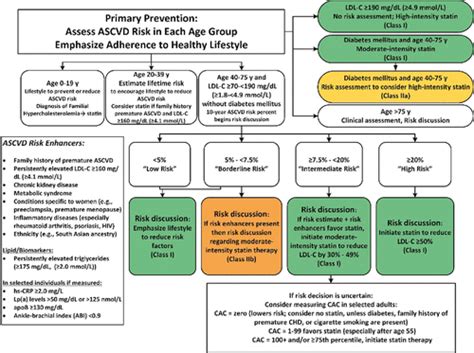 2019 ACC/AHA Guideline on the Primary Prevention of Cardiovascular