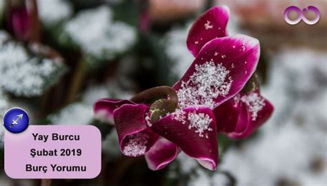 2019 YAY BURCU YORUMU. 