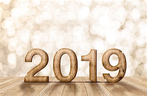 2019 A Year Of True Crime Page A Day Calendar