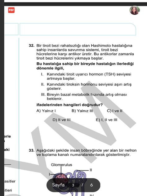 2019 Ayt Soruları