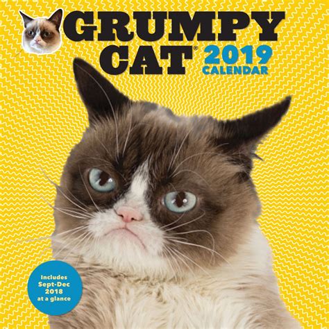 Download 2019 Wall Calendar Grumpy Cat By Grumpy Cat
