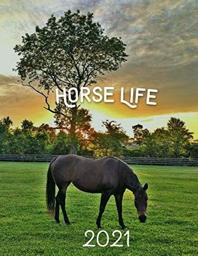 Read Online 2020 Horse Life Planner Monthly Weekly  Daily Schedules For Humans  Equine Equine Behavior Snapshots Equine Maintenance Appointments Budgeting Equine  Other Expenses Worming Training  Feeding Logs Reflections By Tess Zorba