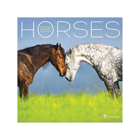 Download 2020 Horses Mini Calendar By Tf Publishing