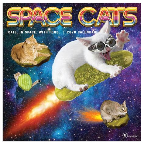 Read 2020 Space Cats Wall Calendar By Not A Book