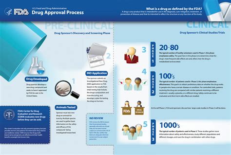 2021 FDA Drug Approval Process Infographic Conquer the journey informed