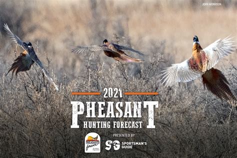 2021 Hunting & Fishing Wall Calendar Bilingual, Customization Options