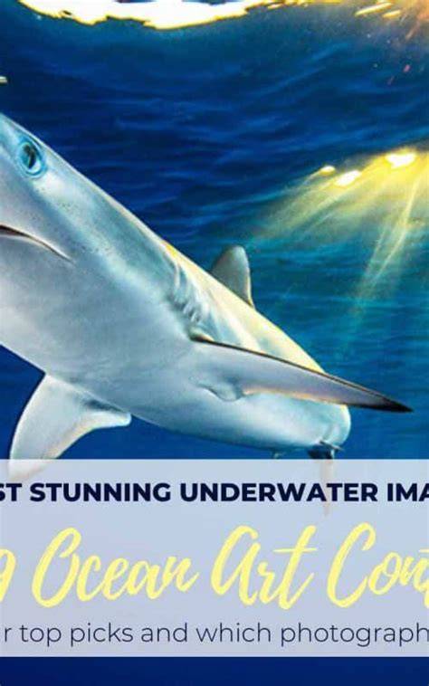 2021 Ocean Art Contest Winners - Underwater … - raincitystudios.com