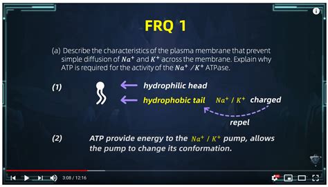 2021 ap bio frqs. This video covers the FRQs from the May 2021 AP Biology Exam. Make sure to join our Discord Channel to meet the instructors, ask to follow up questions, and ... 