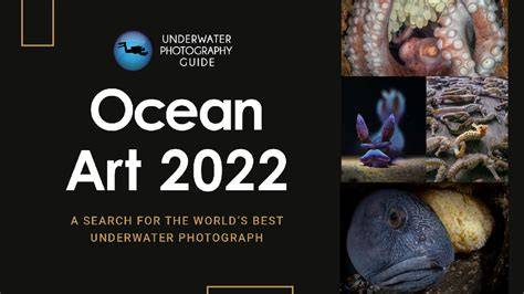 2022 Ocean Art Underwater Photo Contest Announcement - raincitystudios.com