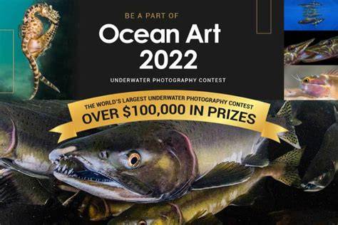2022 Ocean Art underwater photography … - raincitystudios.com