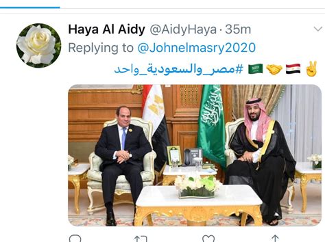 تويتر مصر والسعودية
