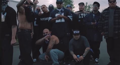 Idaho gangs documentary torrent