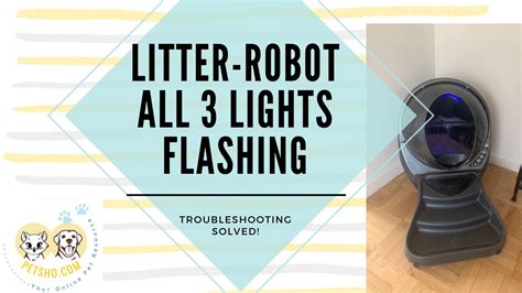 2023 Litter robot all 3 lights flashing issue Price: - selamolsunadam