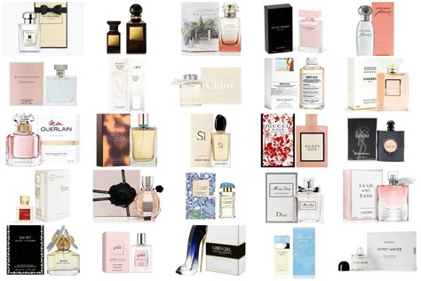 2023 1 perfumes  (13) in 