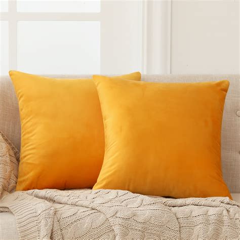 2023 24 inch by 24 inch pillow covers and Soft 