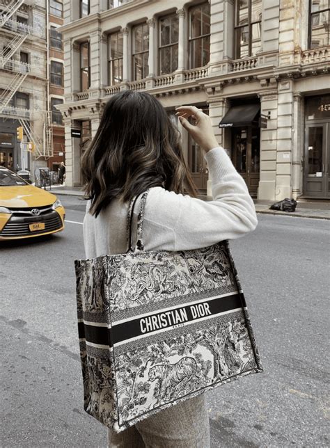 13 Dior book tote dupes that are affordable