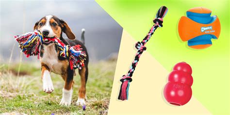 Buy Plush Dog Toys Puppy Toys Unique Design Bone Dog Toy Online in India 