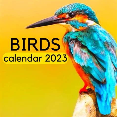 ALL Opila Bird & Baby Birds Scenes - Garten of Banban 2 (2023) 