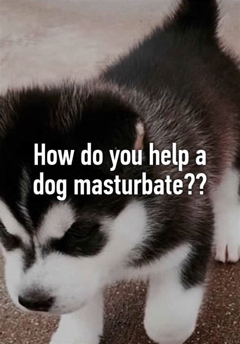 th?q=2023 Dog in porn masturbate ... - berivanimki.online