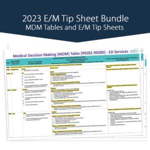 2023 E/M Tip Sheet Bundle Single User