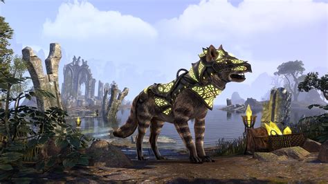 after 3000 hrs of Skyrim, I decided to give ESO a legit try. the standard  question: any advice for a newcomer? : r/elderscrollsonline