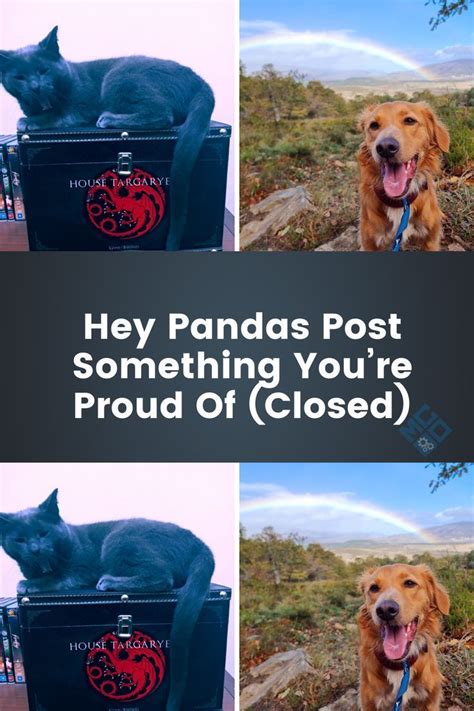Hey Pandas, Post Your Favorite Cat Meme (Closed)