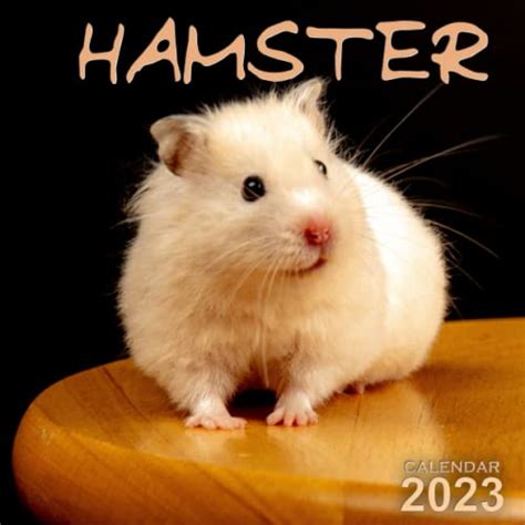 Hamster Race v1.0 MOD APK -  - Android & iOS MODs, Mobile  Games & Apps