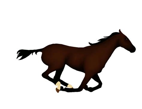 Xxx Vedio Horse Cartoon Hot - Big boy! How tall is your horse? ðŸ˜ŠðŸ´ #equestrian #horse #short from tamil  hot sex420ors horss giral sex xxnxxdx Watch Video - MyPornVid.fun