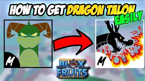 DRAGON FRUIT + DRAGON TALON IS SUPER POWERFULL! Roblox Blox Fruits 