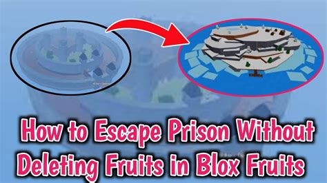 Revive Fruit in Blox Fruits  Info, Guide, Combos [UPDATE 20] ⭐