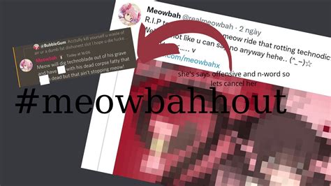 raiding meowbah discord｜TikTok Search