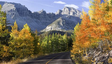 2023 Photo Calendar Contest from AARP Foundation