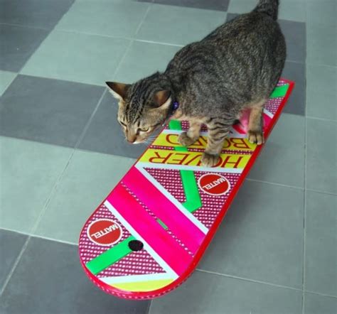 2023 Shiny hoverboard cat value Egg, that 