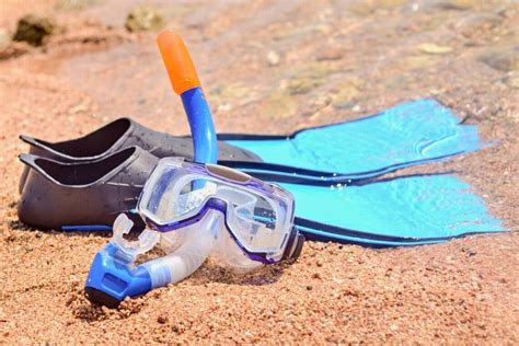 th?q=2023 Snorkel sets snorkel when 