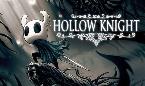 I downloaded a DLC for Hollow Knight but I can't install it with