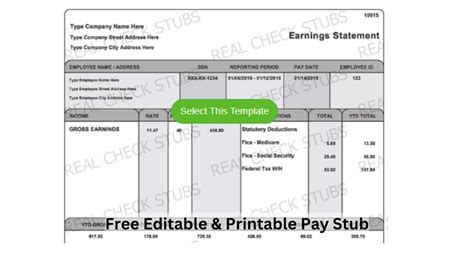 2023 Ultimate Check Stub Template Free and Customizable