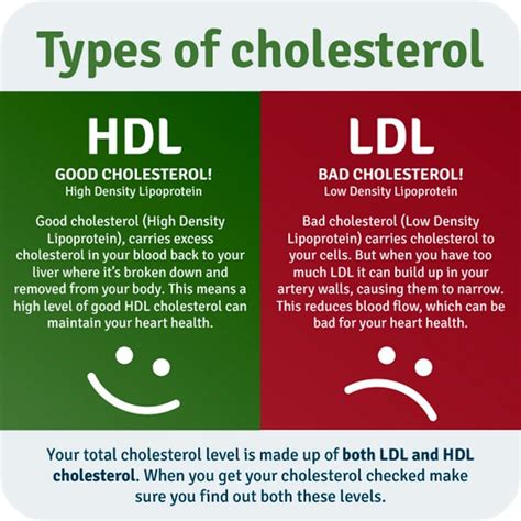 Understanding Oil and Cholesterol Levels Everyday Health